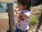 DSCN0020_020