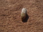 DSCN0025_025