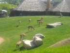 DSCN0036_036