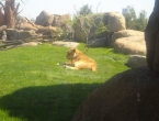 DSCN0038_038