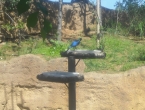 DSCN0046_046