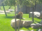 DSCN0049_049