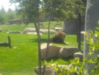 DSCN0051_051