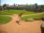 DSCN0052_052