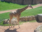 DSCN0053_053