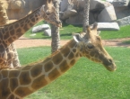 DSCN0057_057