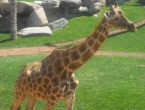 DSCN0064_064