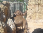 DSCN0066_066