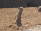 DSCN0075_075