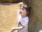DSCN0077_077