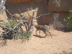 DSCN0078_078