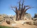 DSCN0080_080