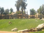 DSCN0083_083