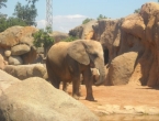 DSCN0087_087