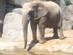 DSCN0089_089
