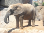 DSCN0090_090