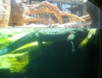 DSCN0100_099