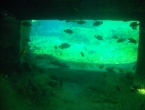 DSCN0101_100