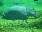 DSCN0107_106
