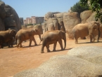 DSCN0109_108