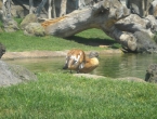 DSCN0110_109