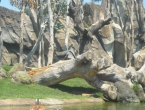 DSCN0111_110