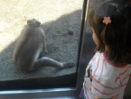 DSCN0112_111