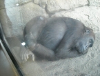DSCN0115_114