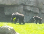 DSCN0120_119