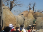 DSCN0133_132