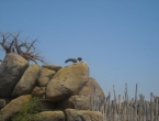 DSCN0135_134