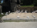 DSCN0141_140