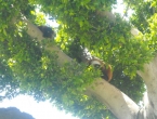 DSCN0144_143