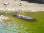 DSCN0150_149