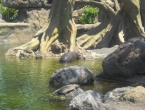 DSCN0151_150