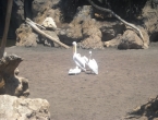 DSCN0155_154