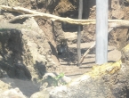 DSCN0160_159