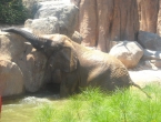 DSCN0176_175