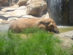 DSCN0177_176