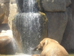 DSCN0178_177