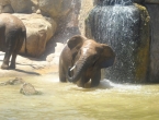 DSCN0182_181