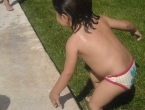 DSCN0186_185