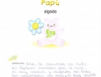 Notas finales