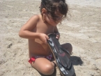 DSCN0066_338