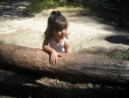 DSCN0021