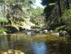 DSCN0037
