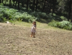 DSCN0052