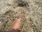 DSCN0228