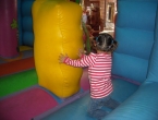 DSCN0003_985