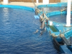 DSCN0011_1042